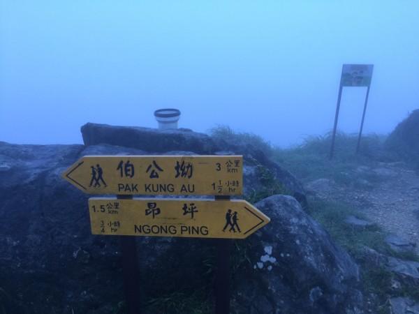 QQ企鹅