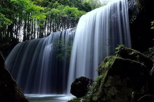 春雨直播app